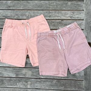 2 PAIRS Pacsun Shorts